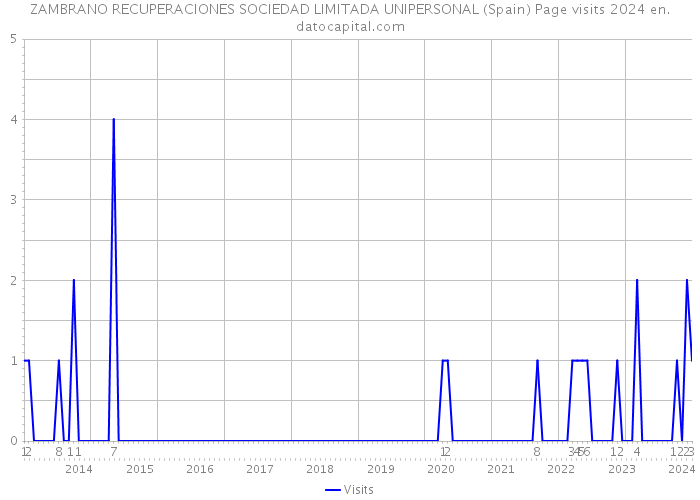 ZAMBRANO RECUPERACIONES SOCIEDAD LIMITADA UNIPERSONAL (Spain) Page visits 2024 