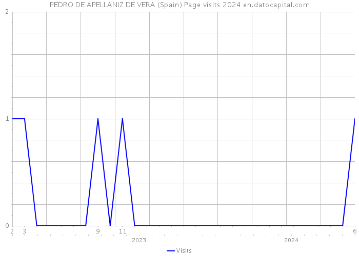 PEDRO DE APELLANIZ DE VERA (Spain) Page visits 2024 