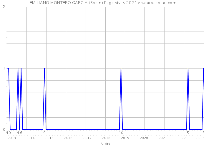 EMILIANO MONTERO GARCIA (Spain) Page visits 2024 