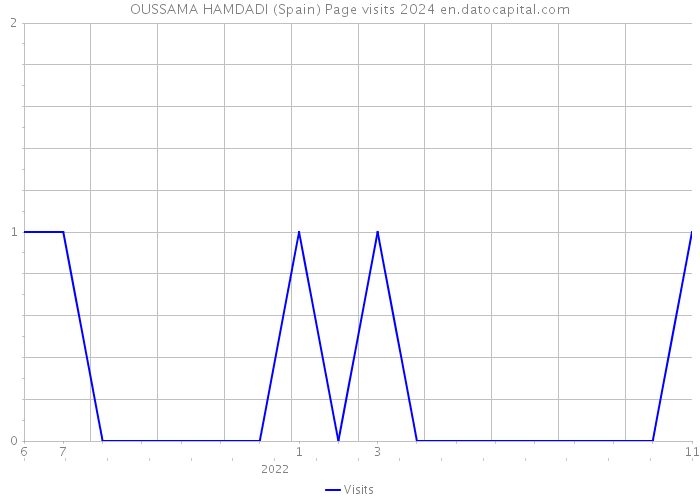 OUSSAMA HAMDADI (Spain) Page visits 2024 