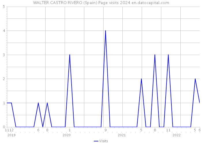 WALTER CASTRO RIVERO (Spain) Page visits 2024 