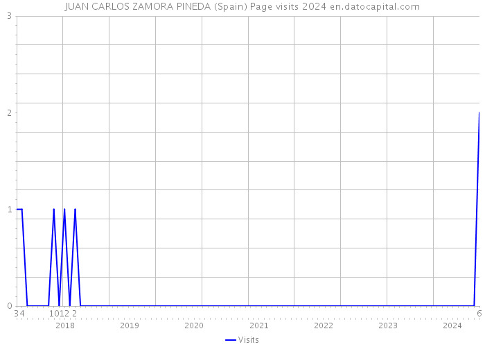 JUAN CARLOS ZAMORA PINEDA (Spain) Page visits 2024 