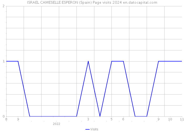 ISRAEL CAMESELLE ESPERON (Spain) Page visits 2024 