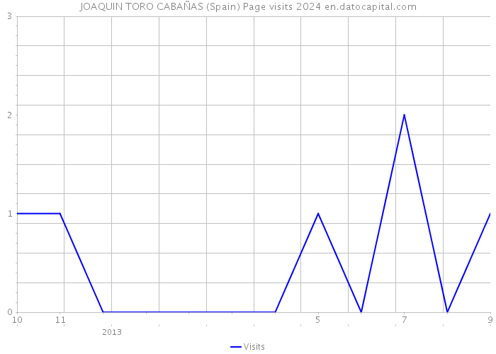 JOAQUIN TORO CABAÑAS (Spain) Page visits 2024 