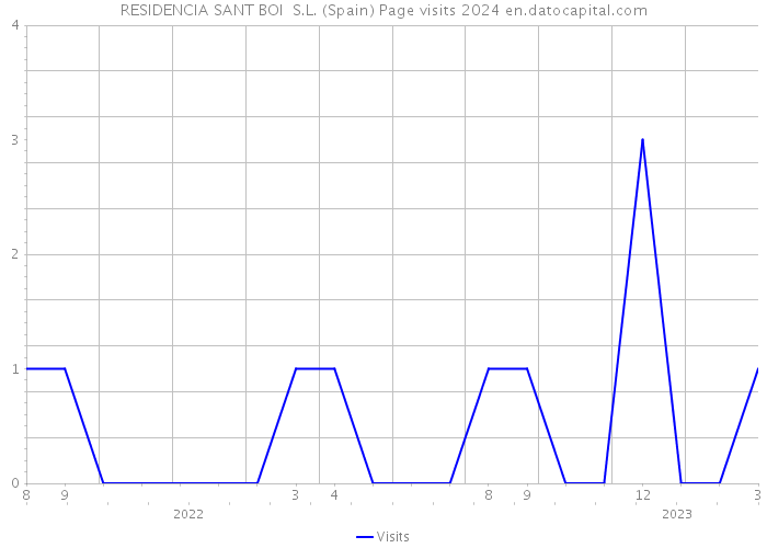 RESIDENCIA SANT BOI S.L. (Spain) Page visits 2024 