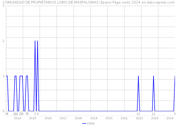 COMUNIDAD DE PROPIETARIOS LOMO DE MASPALOMAS (Spain) Page visits 2024 