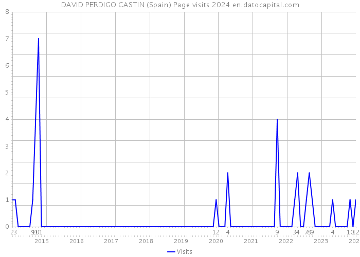 DAVID PERDIGO CASTIN (Spain) Page visits 2024 