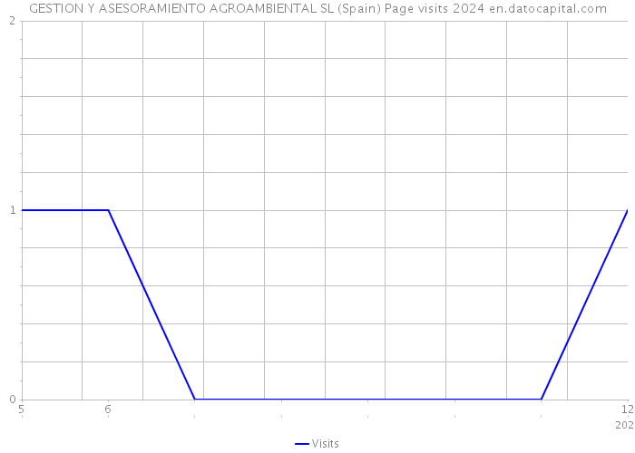 GESTION Y ASESORAMIENTO AGROAMBIENTAL SL (Spain) Page visits 2024 