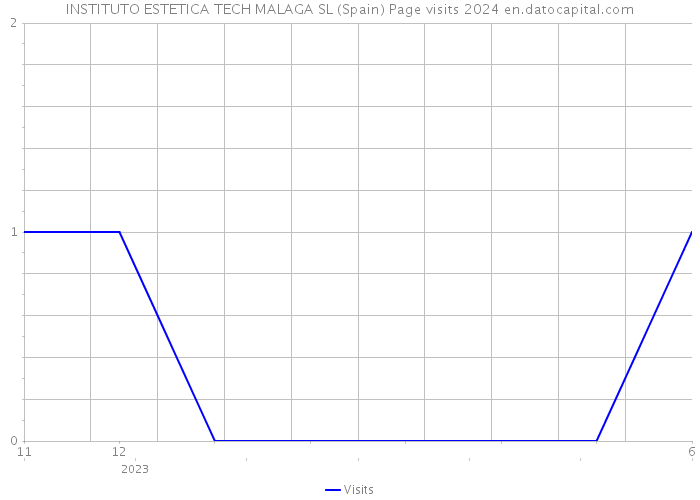 INSTITUTO ESTETICA TECH MALAGA SL (Spain) Page visits 2024 