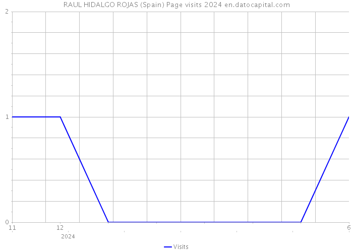 RAUL HIDALGO ROJAS (Spain) Page visits 2024 