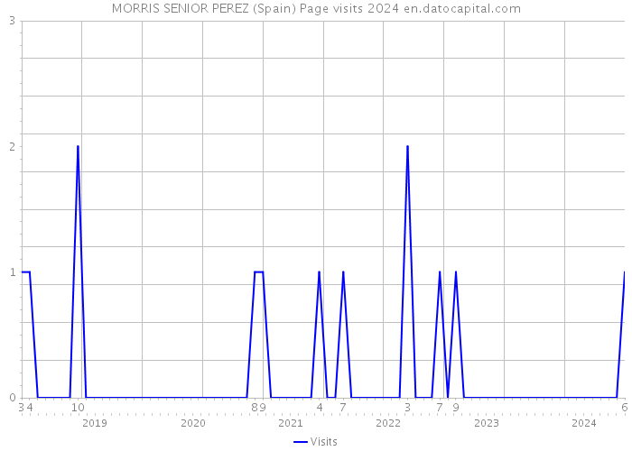 MORRIS SENIOR PEREZ (Spain) Page visits 2024 