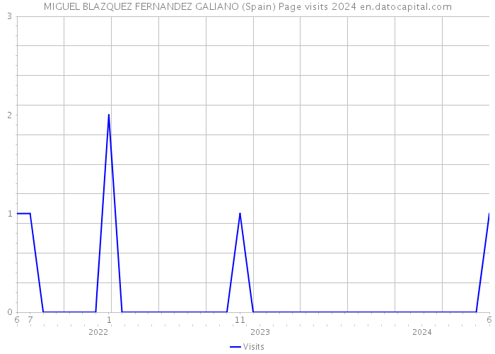 MIGUEL BLAZQUEZ FERNANDEZ GALIANO (Spain) Page visits 2024 