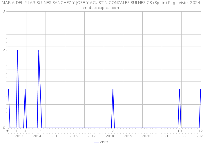 MARIA DEL PILAR BULNES SANCHEZ Y JOSE Y AGUSTIN GONZALEZ BULNES CB (Spain) Page visits 2024 