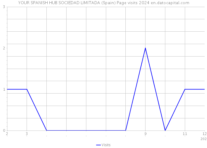 YOUR SPANISH HUB SOCIEDAD LIMITADA (Spain) Page visits 2024 