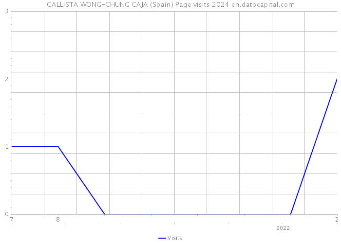 CALLISTA WONG-CHUNG CAJA (Spain) Page visits 2024 