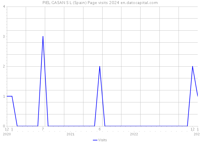 PIEL GASAN S L (Spain) Page visits 2024 