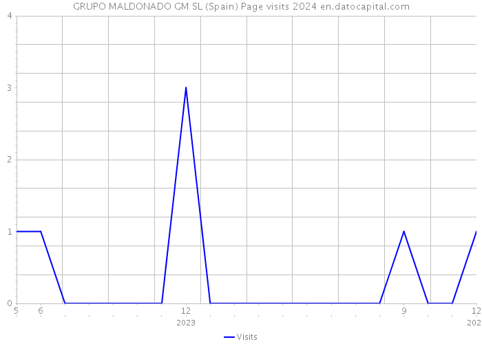 GRUPO MALDONADO GM SL (Spain) Page visits 2024 