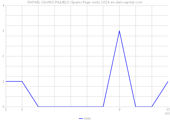 RAFAEL GAVIRO PAJUELO (Spain) Page visits 2024 