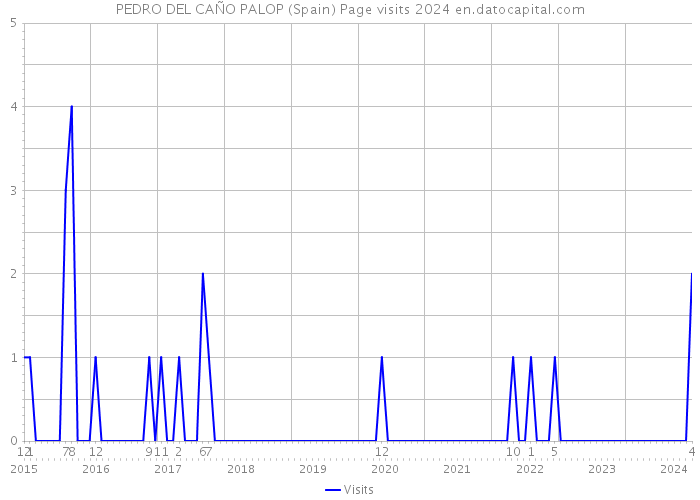 PEDRO DEL CAÑO PALOP (Spain) Page visits 2024 