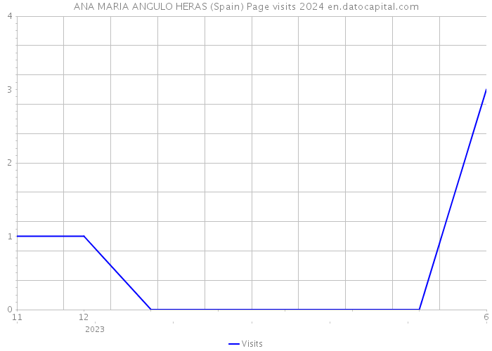 ANA MARIA ANGULO HERAS (Spain) Page visits 2024 