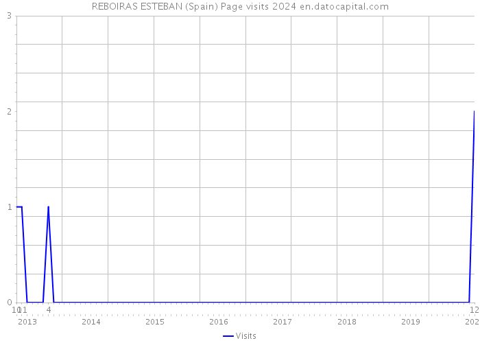 REBOIRAS ESTEBAN (Spain) Page visits 2024 