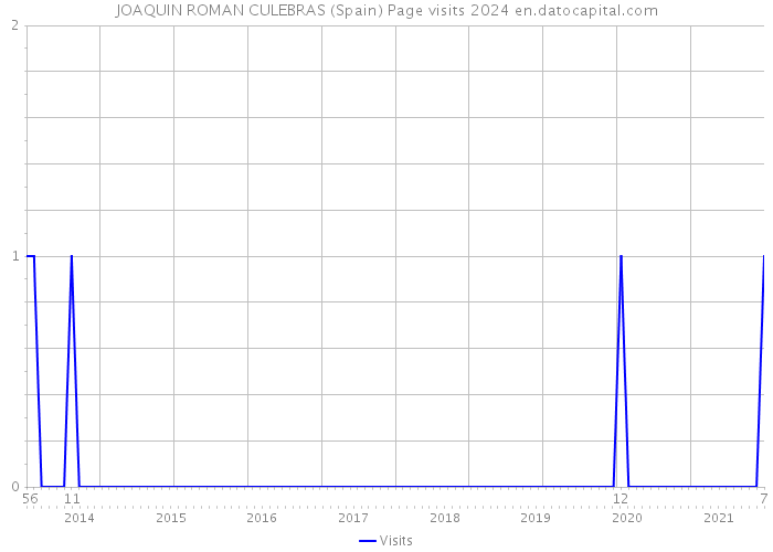 JOAQUIN ROMAN CULEBRAS (Spain) Page visits 2024 