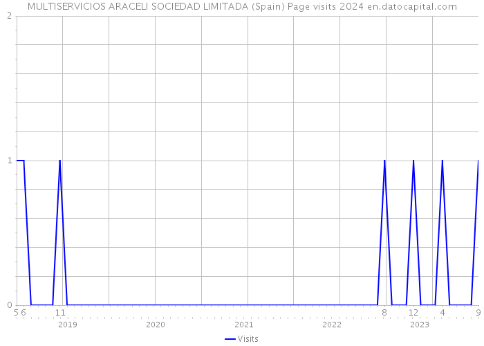MULTISERVICIOS ARACELI SOCIEDAD LIMITADA (Spain) Page visits 2024 