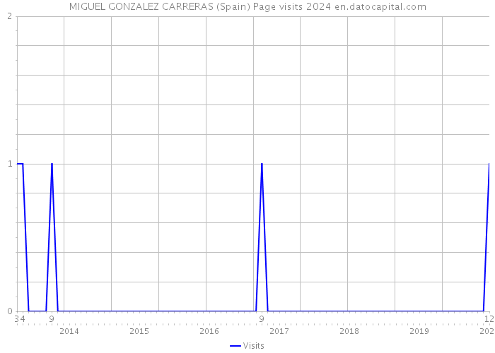 MIGUEL GONZALEZ CARRERAS (Spain) Page visits 2024 