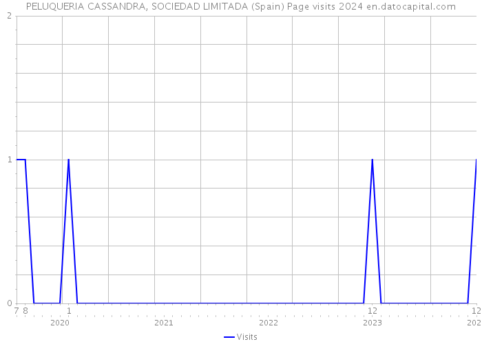 PELUQUERIA CASSANDRA, SOCIEDAD LIMITADA (Spain) Page visits 2024 