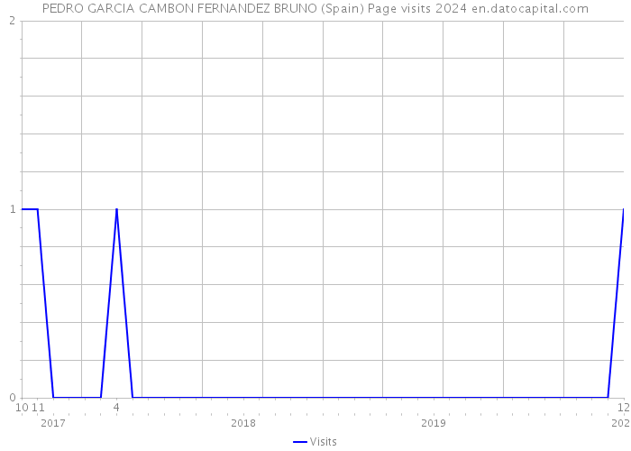 PEDRO GARCIA CAMBON FERNANDEZ BRUNO (Spain) Page visits 2024 