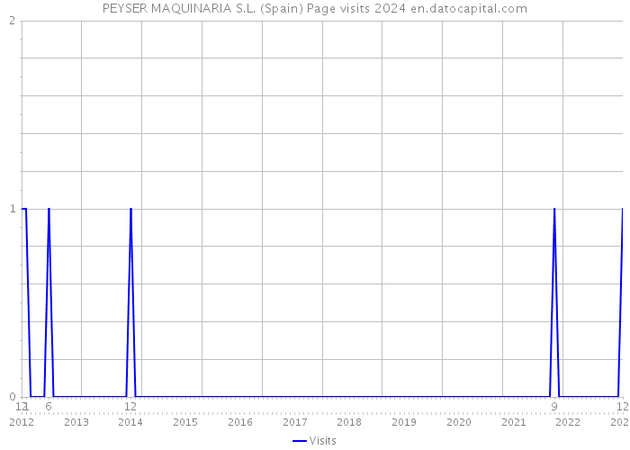 PEYSER MAQUINARIA S.L. (Spain) Page visits 2024 