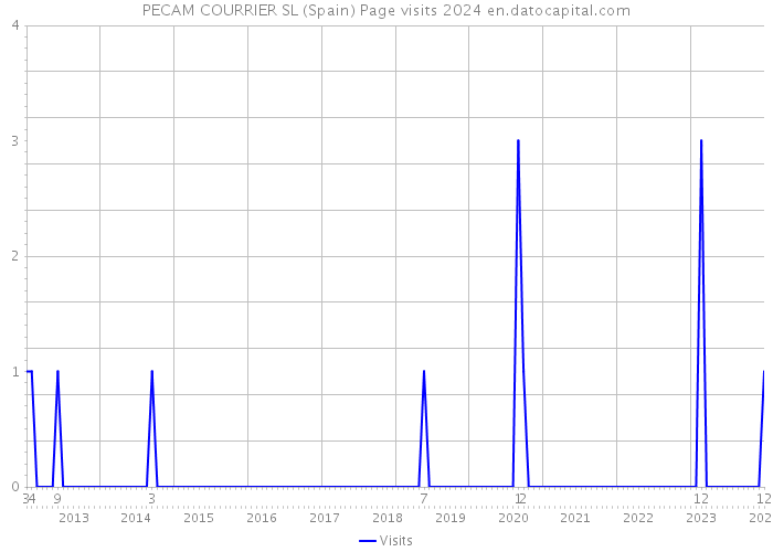 PECAM COURRIER SL (Spain) Page visits 2024 