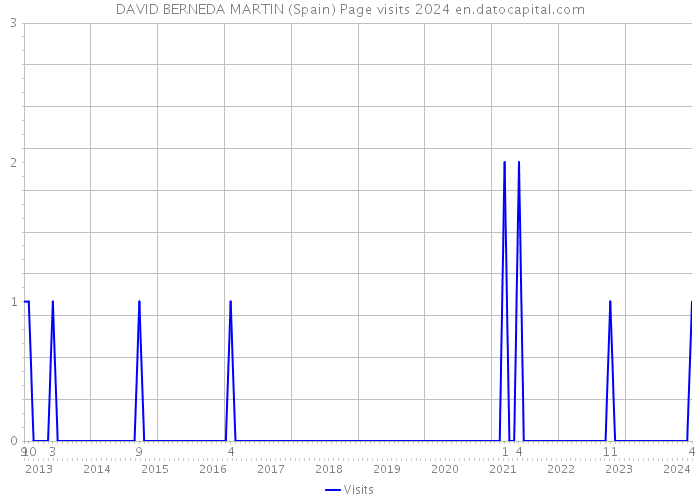 DAVID BERNEDA MARTIN (Spain) Page visits 2024 