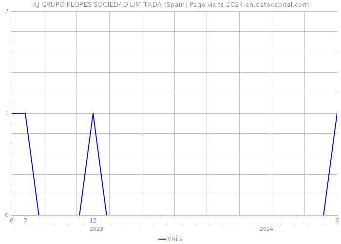 AJ GRUPO FLORES SOCIEDAD LIMITADA (Spain) Page visits 2024 