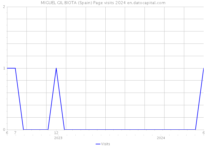 MIGUEL GIL BIOTA (Spain) Page visits 2024 