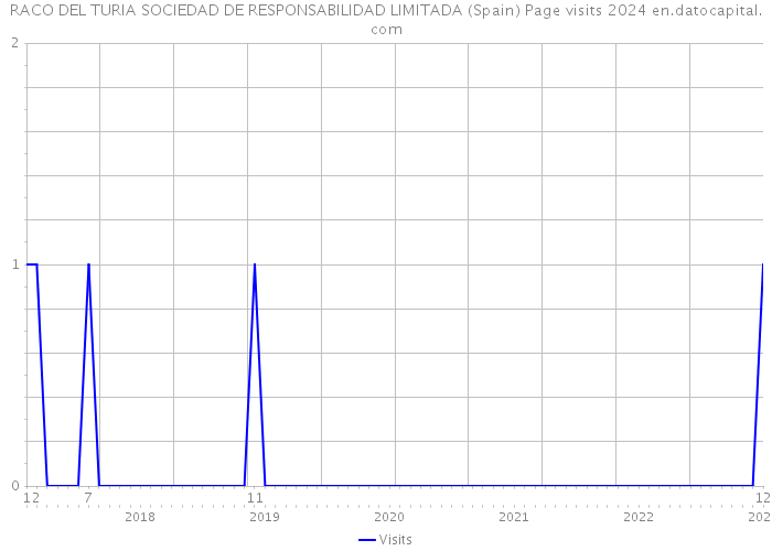 RACO DEL TURIA SOCIEDAD DE RESPONSABILIDAD LIMITADA (Spain) Page visits 2024 
