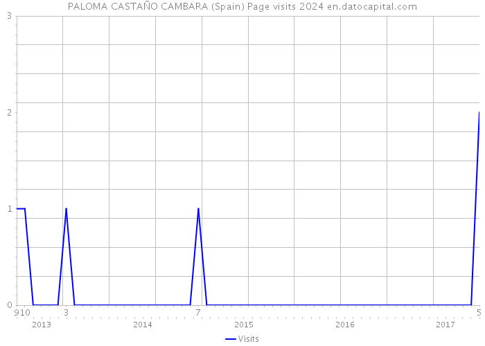 PALOMA CASTAÑO CAMBARA (Spain) Page visits 2024 