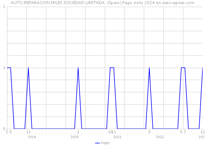 AUTO REPARACION MILES SOCIEDAD LIMITADA. (Spain) Page visits 2024 