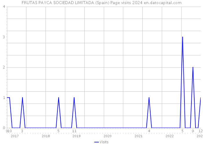 FRUTAS PAYCA SOCIEDAD LIMITADA (Spain) Page visits 2024 