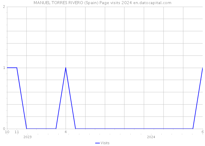 MANUEL TORRES RIVERO (Spain) Page visits 2024 