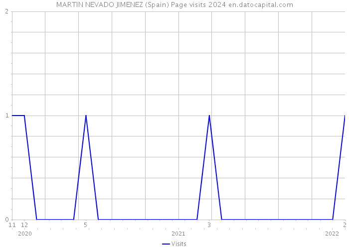 MARTIN NEVADO JIMENEZ (Spain) Page visits 2024 