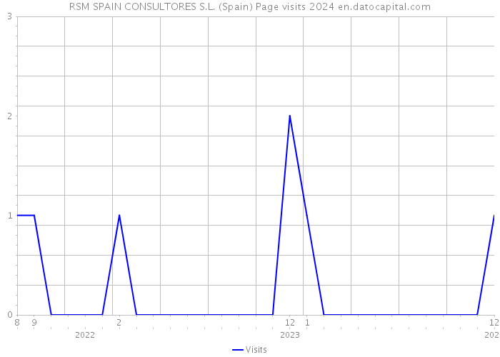 RSM SPAIN CONSULTORES S.L. (Spain) Page visits 2024 