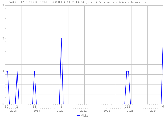 WAKE UP PRODUCCIONES SOCIEDAD LIMITADA (Spain) Page visits 2024 