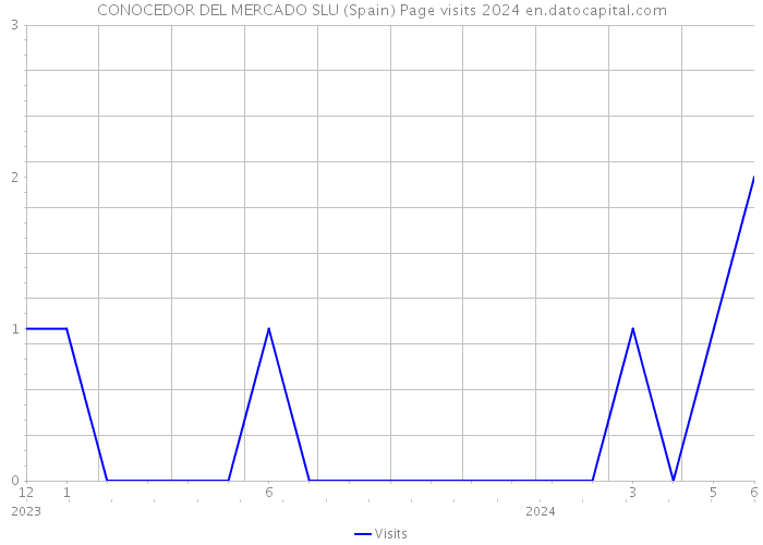 CONOCEDOR DEL MERCADO SLU (Spain) Page visits 2024 