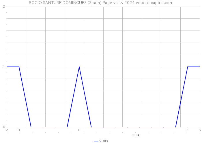 ROCIO SANTURE DOMINGUEZ (Spain) Page visits 2024 