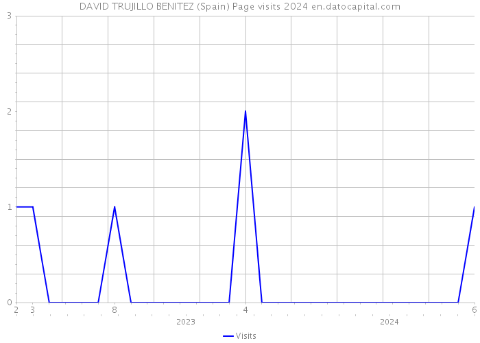 DAVID TRUJILLO BENITEZ (Spain) Page visits 2024 