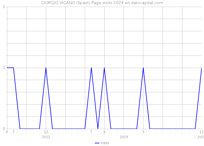 GIORGIO VIGANO (Spain) Page visits 2024 