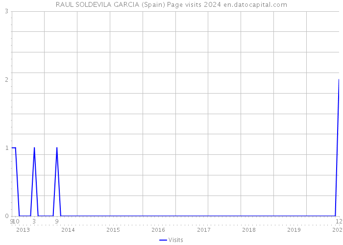 RAUL SOLDEVILA GARCIA (Spain) Page visits 2024 