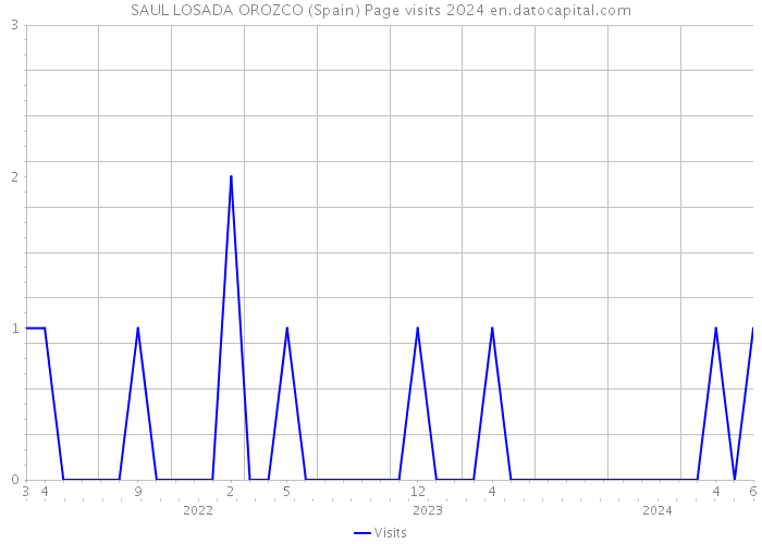 SAUL LOSADA OROZCO (Spain) Page visits 2024 