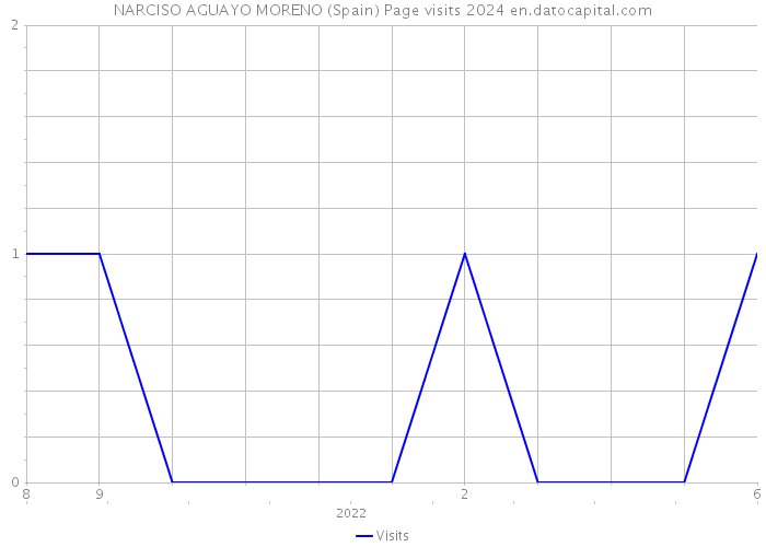 NARCISO AGUAYO MORENO (Spain) Page visits 2024 